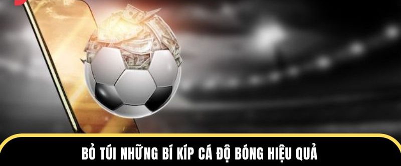 Bỏ túi những bí kíp cá độ bóng hiệu quả