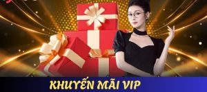 Khuyến Mãi VIP – Đãi Ngộ Cực Sốc Cho Người Chơi Mới