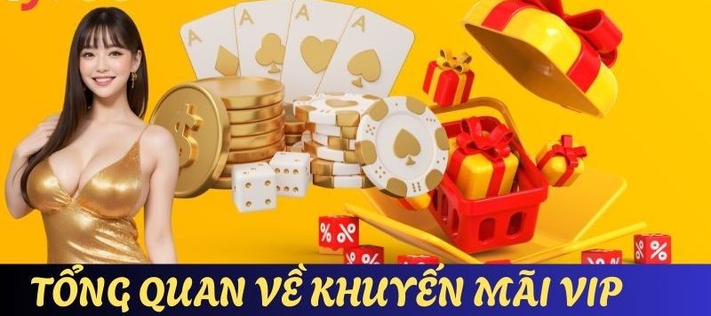 Tổng quan những nét chung nhất về ưu đãi VIP